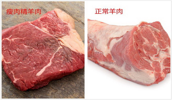 1616116138242112.jpg 图片22.jpg